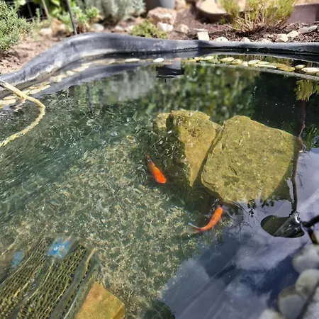 Le Maclo Dom wakacyjny