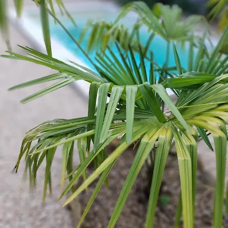 Le Maclo * Bétaille