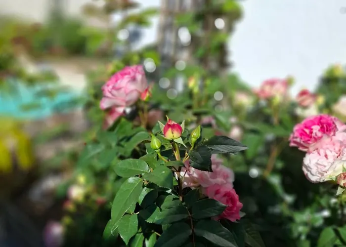 Дом отдыха Le Maclo Betaille